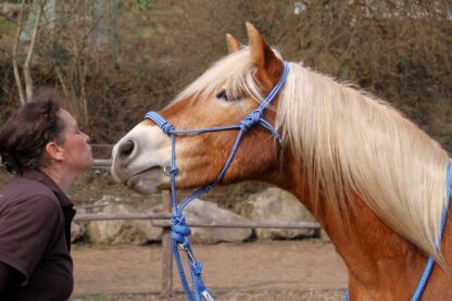 rope halter