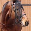 pieres siksna