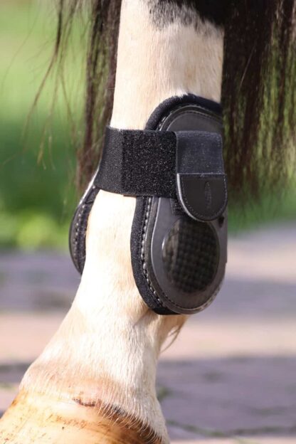 horse boot