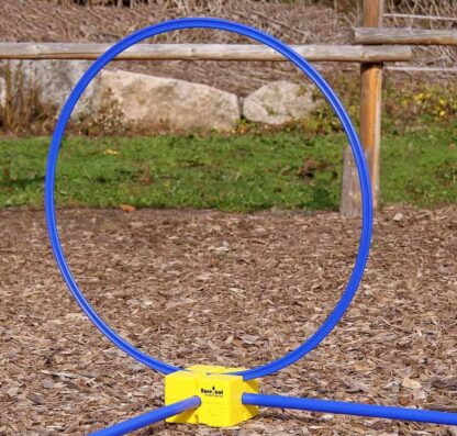 horse training hoop