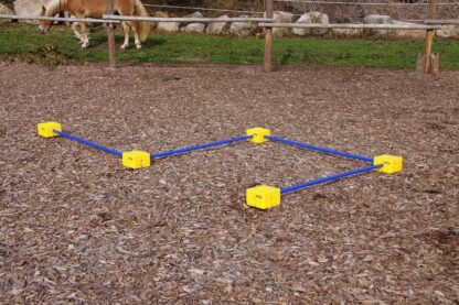 horse training pole