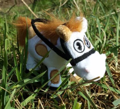 toy pony