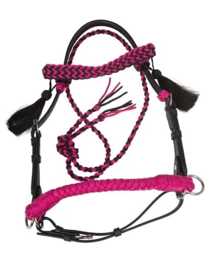 2-in-1 bridle