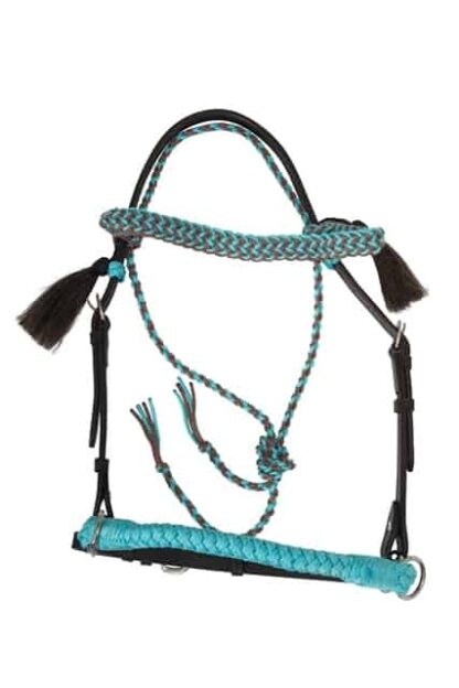 2-in-1 bridle