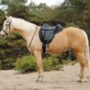 small dressage saddle