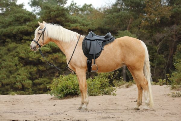 small dressage saddle