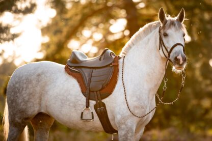 General Purpose Saddle "Cheyenne PRO" - Image 2
